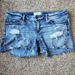 BKE Light Blue Distressed Jean Shorts